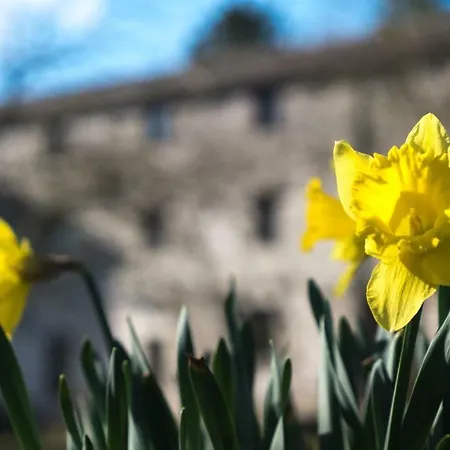 The Old Corn Mill Guest house Kendal